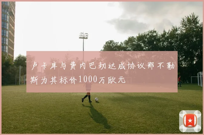 卢卡库与费内巴切达成协议那不勒斯为其标价1000万欧元