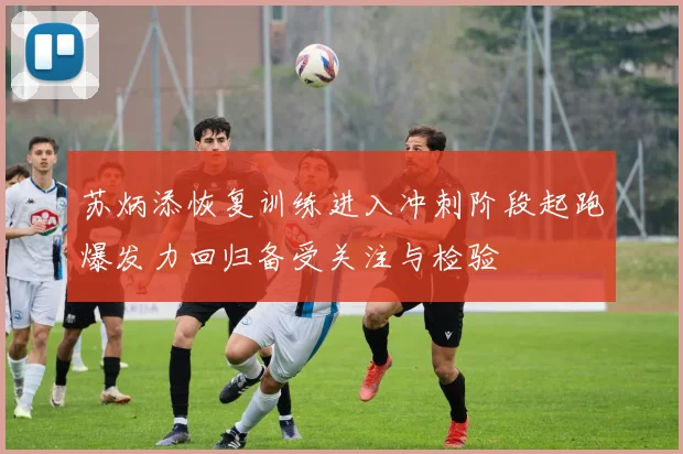 苏炳添恢复训练进入冲刺阶段起跑爆发力回归备受关注与检验